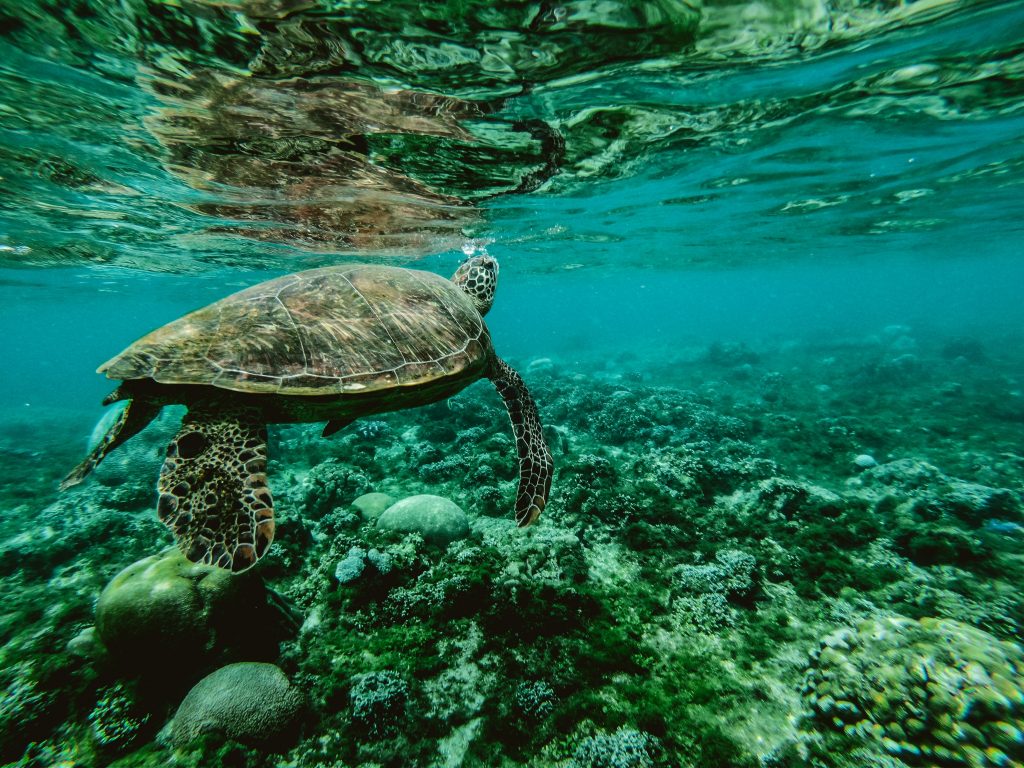 Australia’s Great Barrier Reef