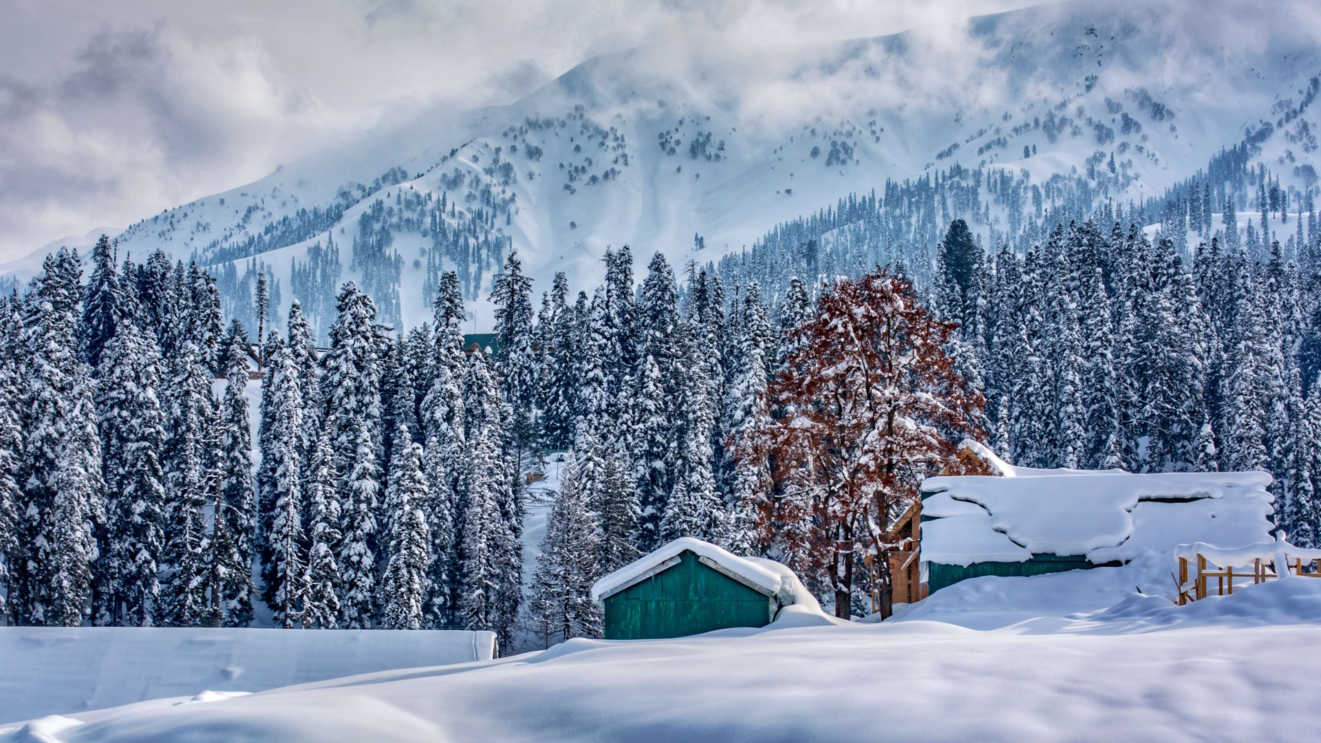 Murree Hills The Monarch Of Hills FlyVour   Murree Pakistan 