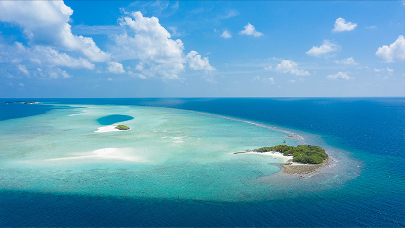 best-dive-sites-in-maldives-Rasdhoo-Atoll