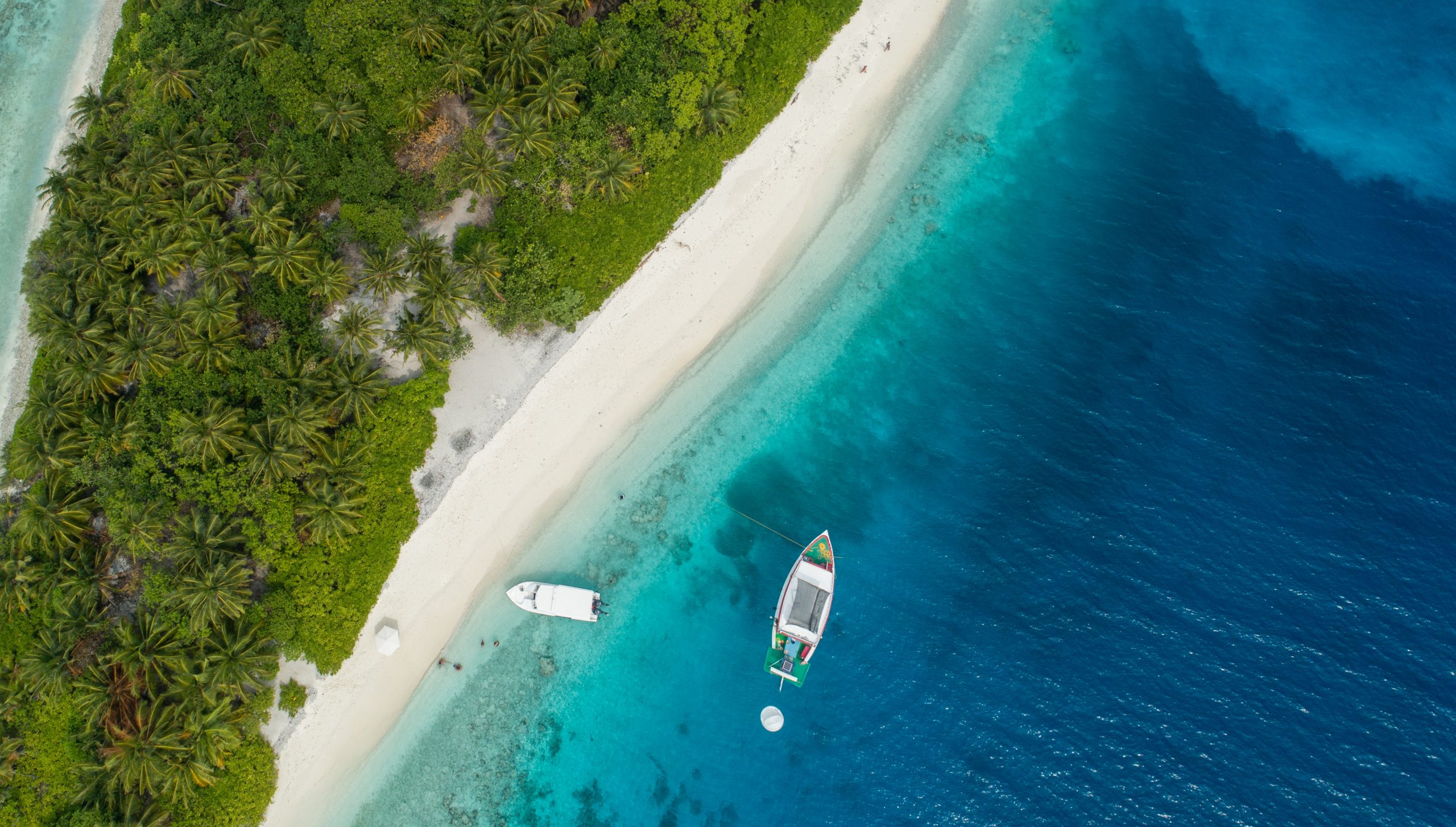 best-dive-sites-in-maldives-vaavu-Atoll