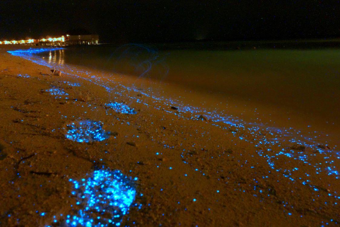 The Sea of Stars on Vaadhoo Island, Maldives